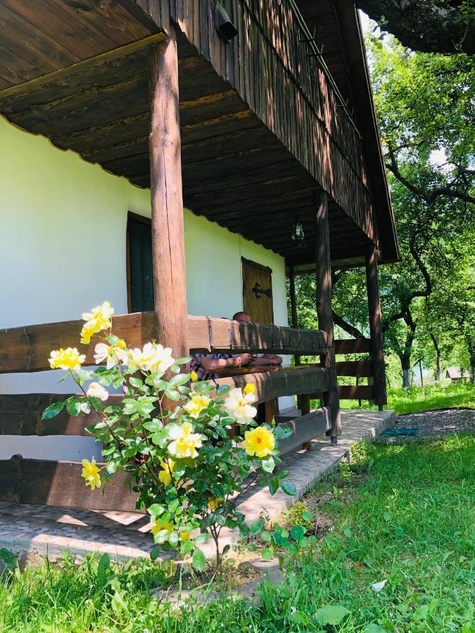 索洛钦Еко Дім З Соломи别墅 外观 照片