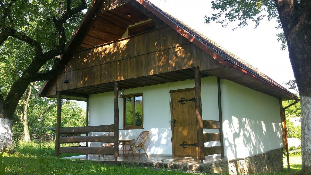 索洛钦Еко Дім З Соломи别墅 外观 照片